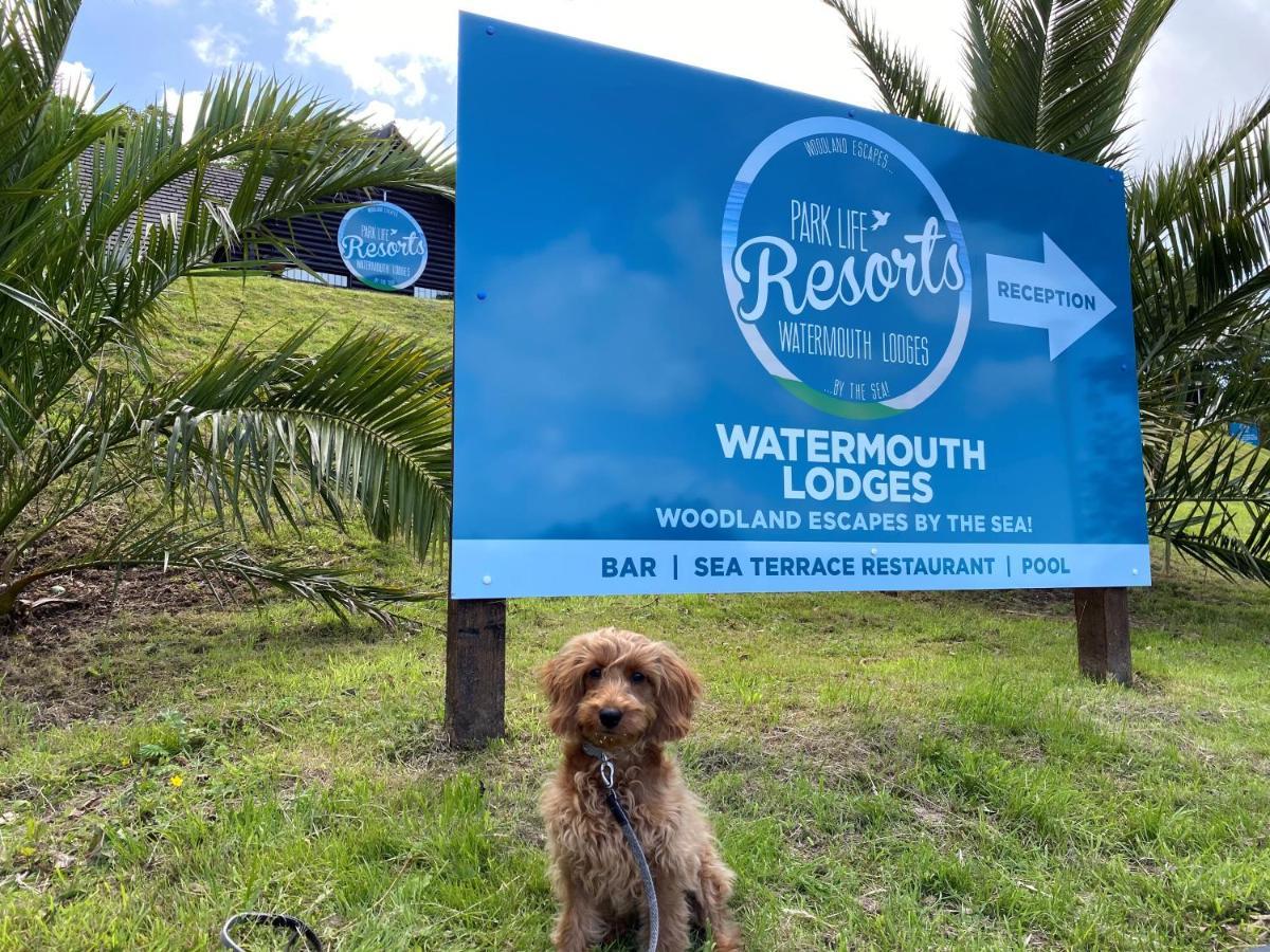 Watermouth Lodges Ilfracombe Zewnętrze zdjęcie